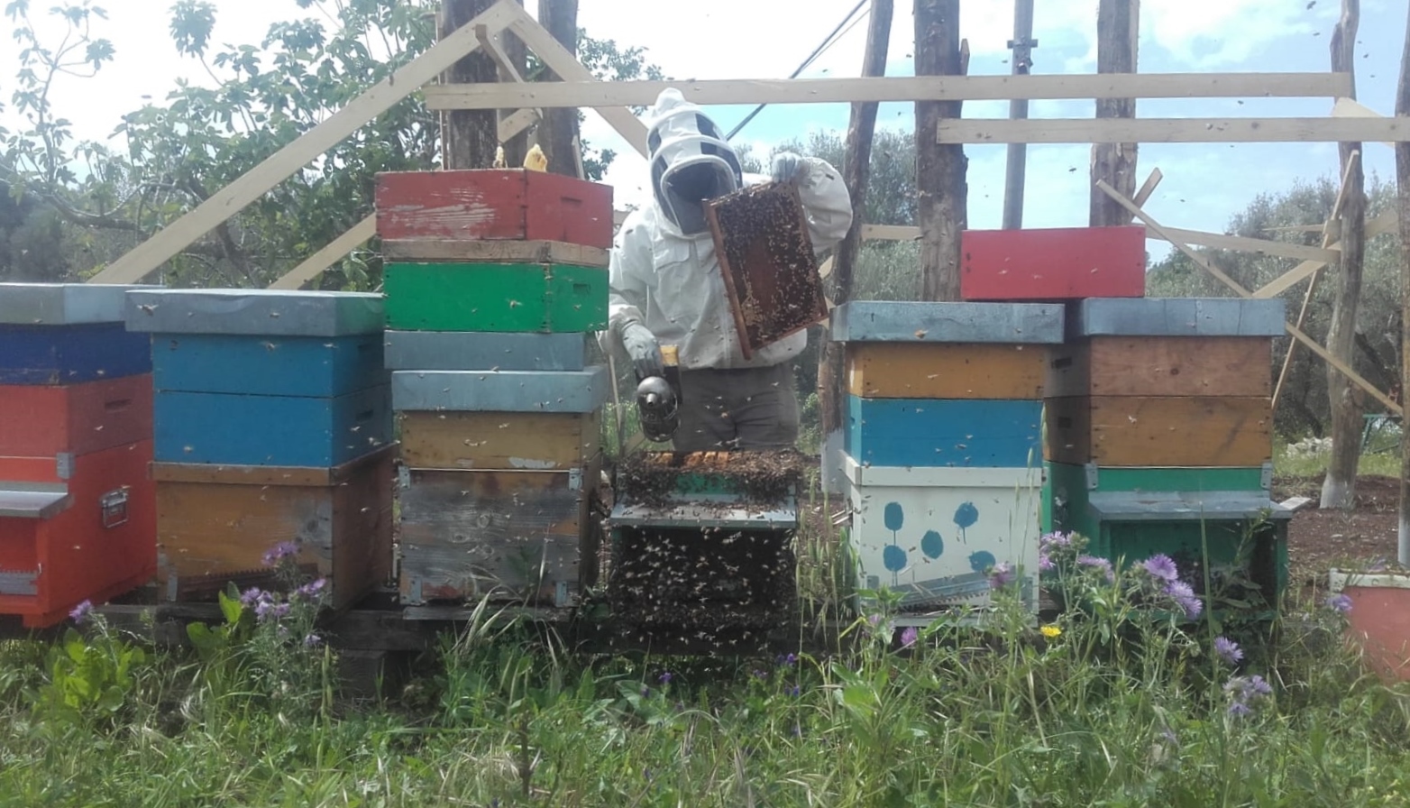 Quando la salvezza si chiama miele. Con MEDU e il progetto Terragiusta 5 nuovi apicoltori dalla tendopoli di Rosarno sul modello di Bee My Job