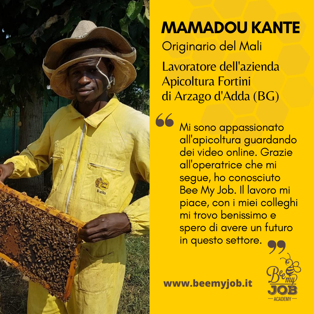 Le storie di Bee My Job: Mamadou fuggito dalla guerra ora lavora con le api