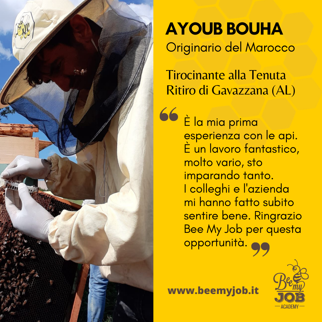 Le storie di Bee My Job: Ayoub nell’azienda leader per la produzione di api regine. “Un’esperienza fantastica”