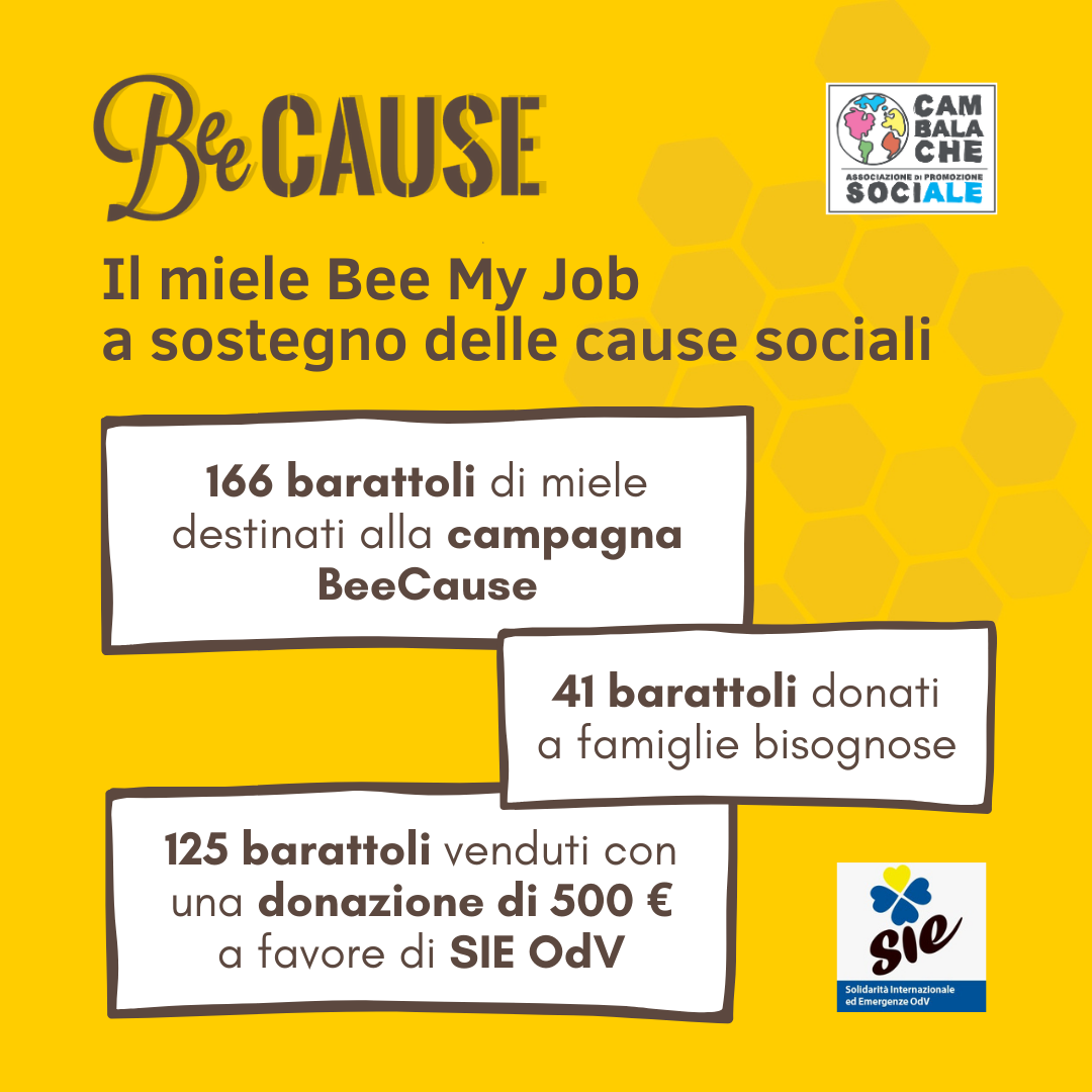 Gli aiuti del miele Bee My Job alle cause sociali